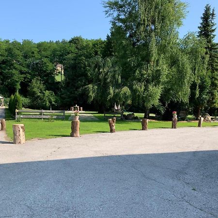 Landgasthof Steinmuehl Hofbauer Fruehstueckspension Und Campingplatz Waidhofen-Ybbs Dış mekan fotoğraf