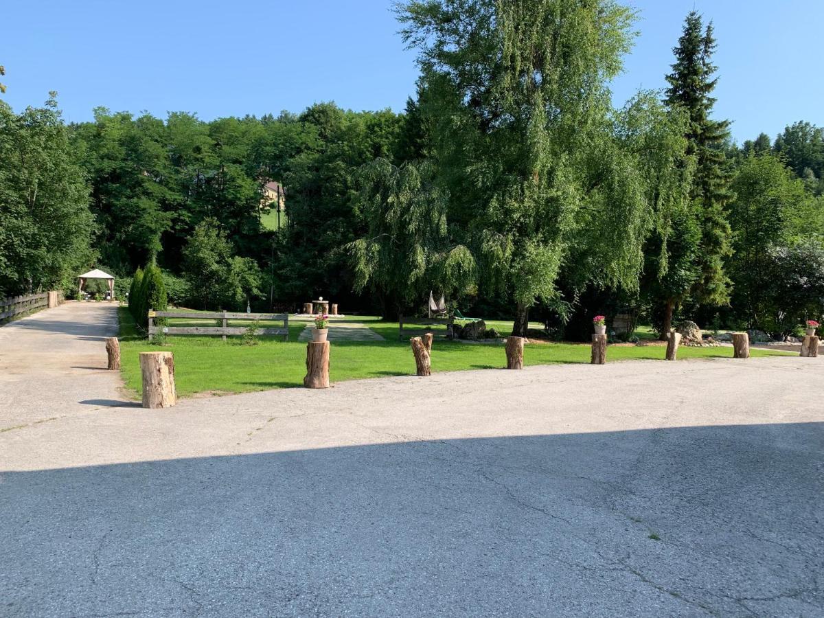 Landgasthof Steinmuehl Hofbauer Fruehstueckspension Und Campingplatz Waidhofen-Ybbs Dış mekan fotoğraf